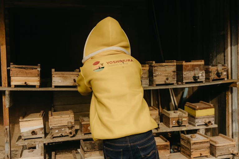 A beekeeper in yellow protective clothing tends to wooden beehives outdoors.