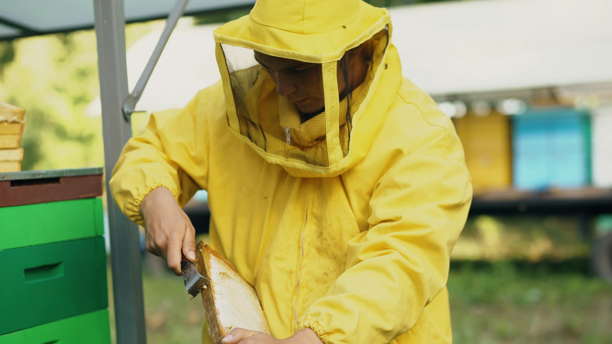 A beekeeper in yellow protective suit harvesting honeycomb outdoors.