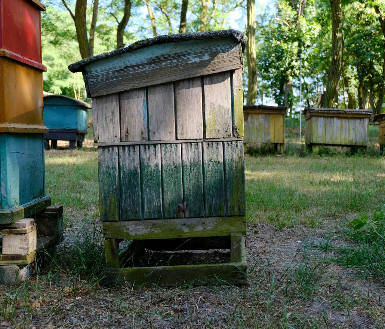 Advanced hive monitoring in a professional apiary