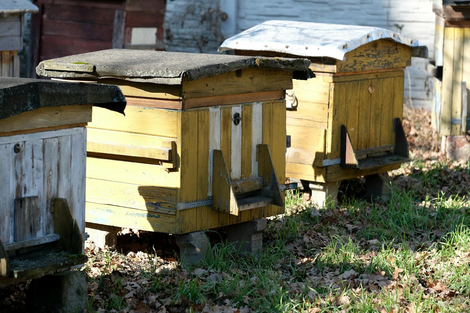 A row of vintage wooden beehives placed in a sunny outdoor garden