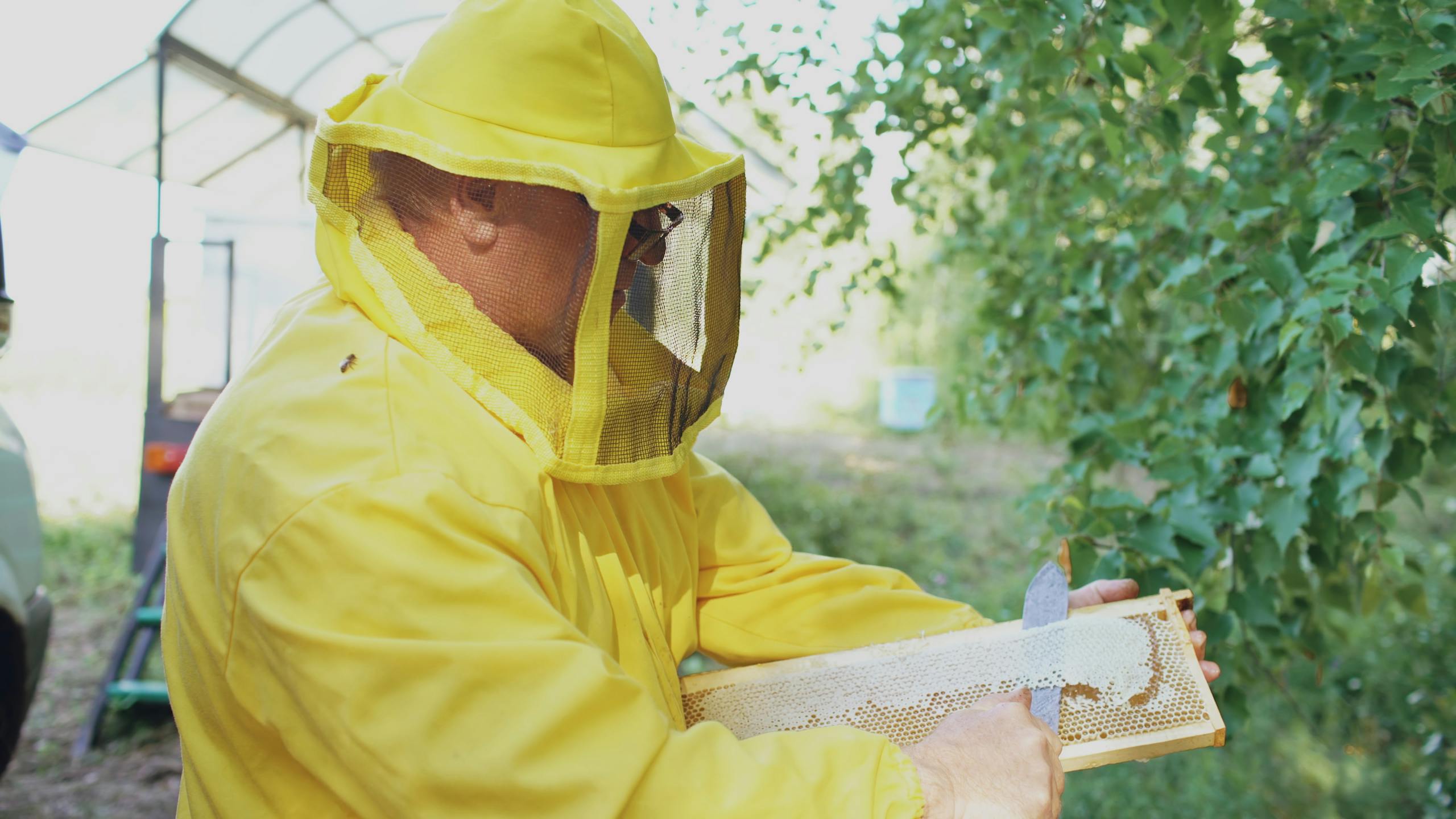 Beekeeper in yellow suit inspecting honeycomb outdoors in a lush setting.