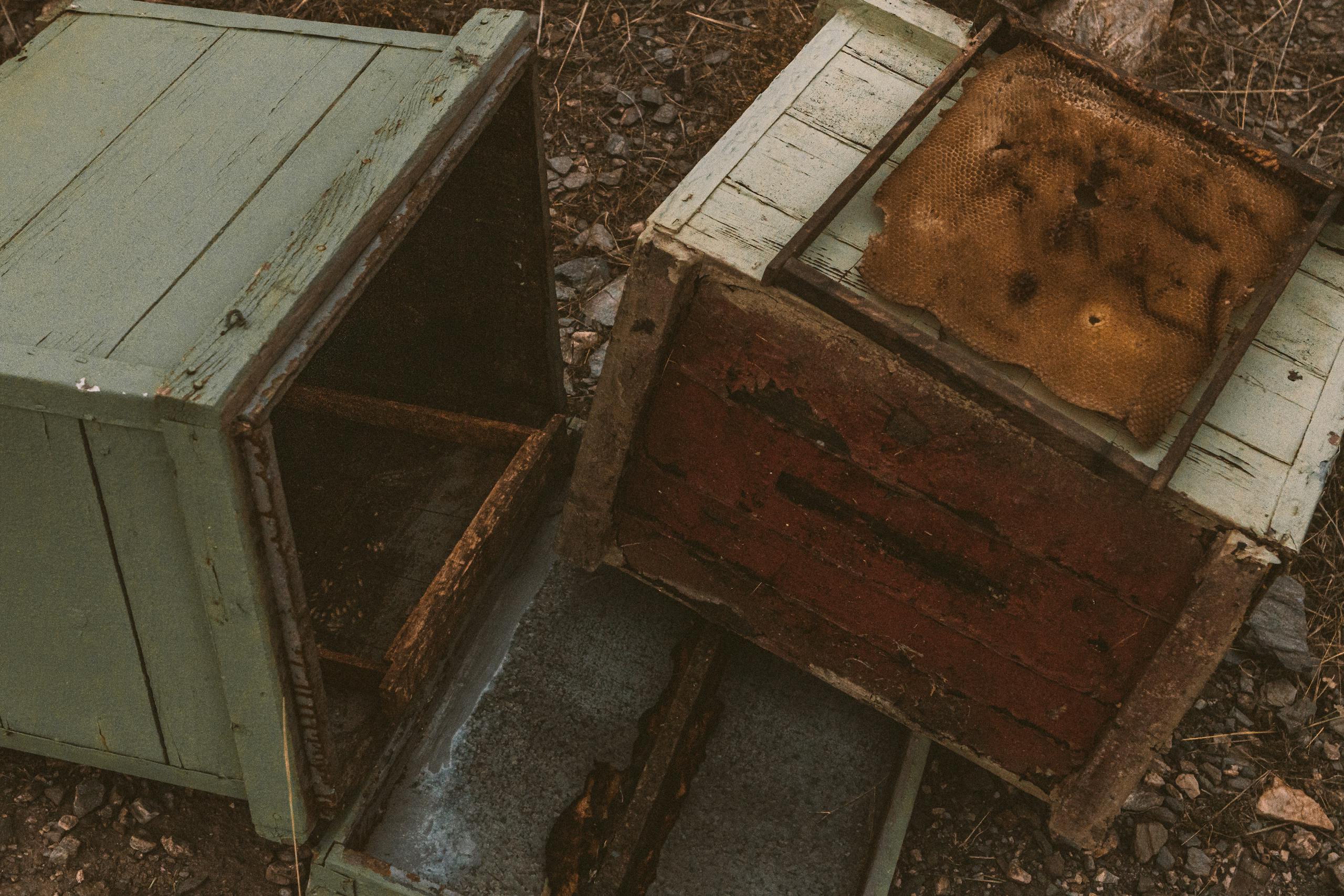 Close-up view of abandoned and weathered beehive boxes outdoors.